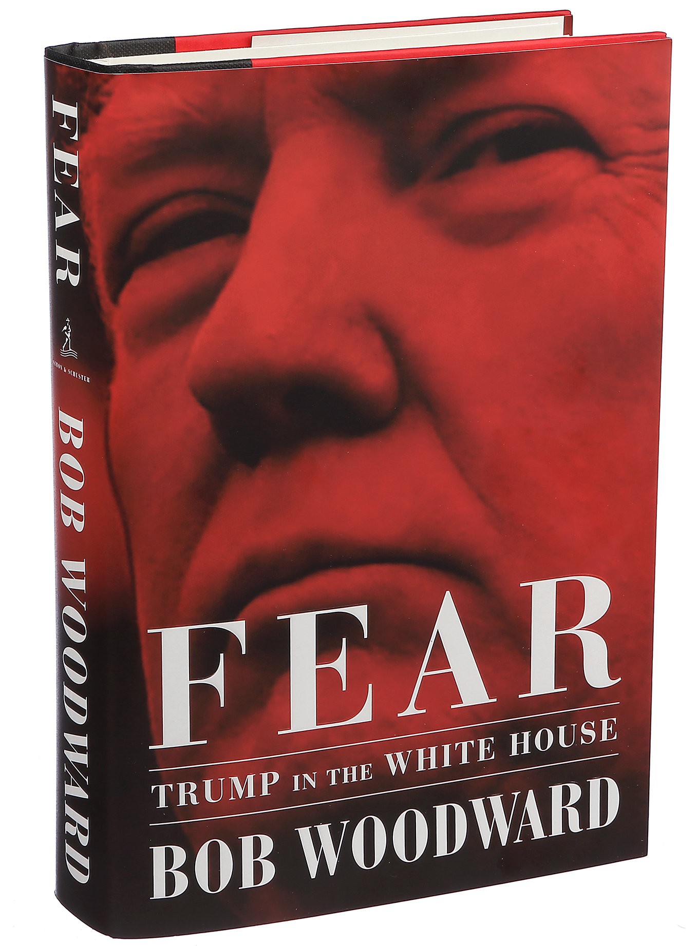 Cover of Fear